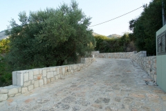 DSC05293