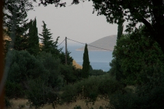 DSC05356